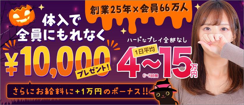 秋葉原LIPの求人