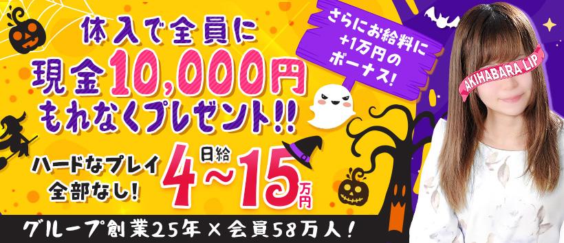 秋葉原LIPの求人