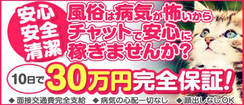 チャットポイント 船橋・津田沼店の求人