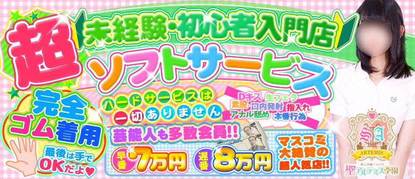 聖アルテミス学園の求人