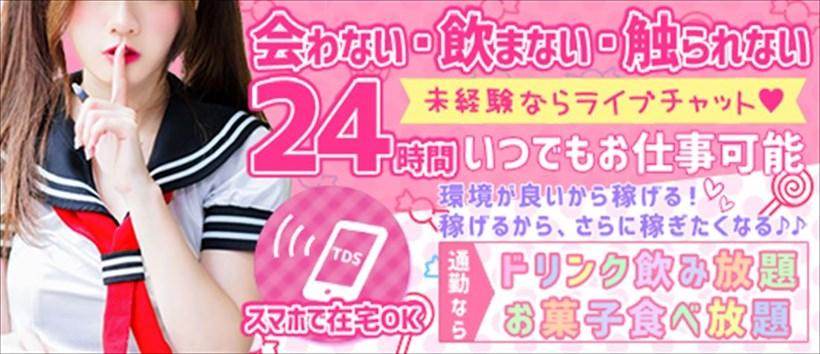 TDS 豊橋本店の求人