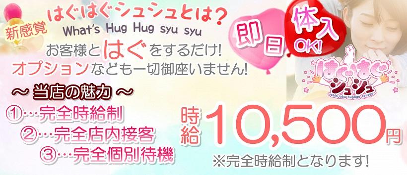 はぐはぐシュシュの求人