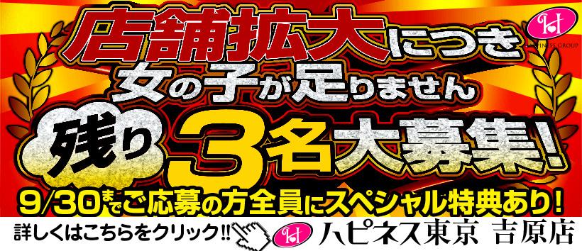 ハピネス東京吉原店の求人