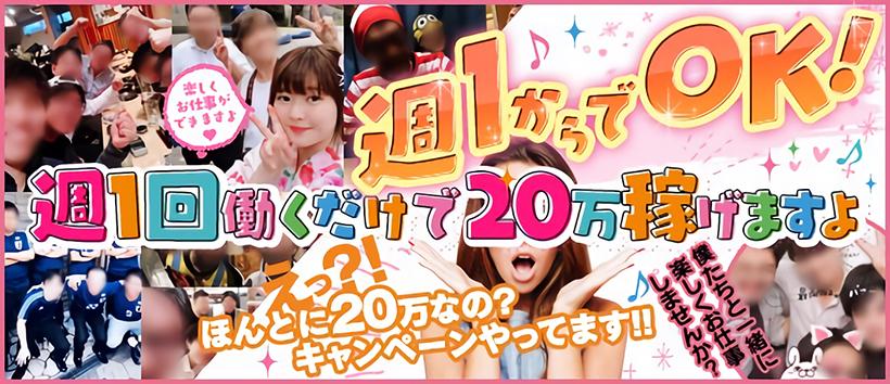 クリームの求人