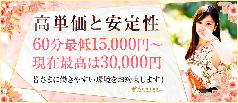 アネモネ Anemone 品川の求人