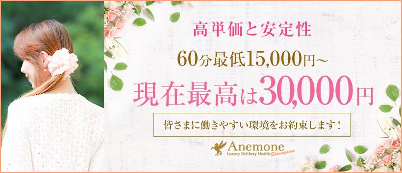 アネモネ Anemone 品川の求人