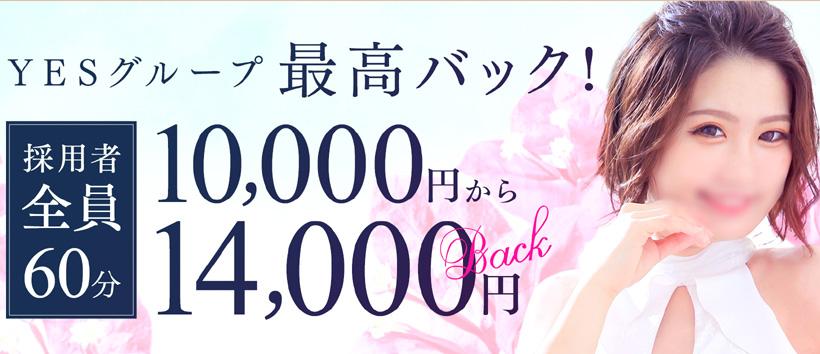Sirenaの求人