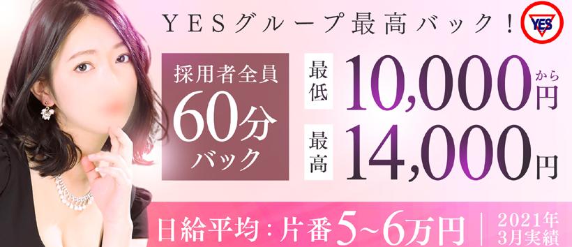 Sirenaの求人