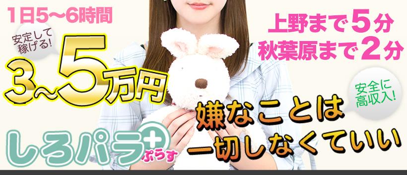 しろパラ+の求人