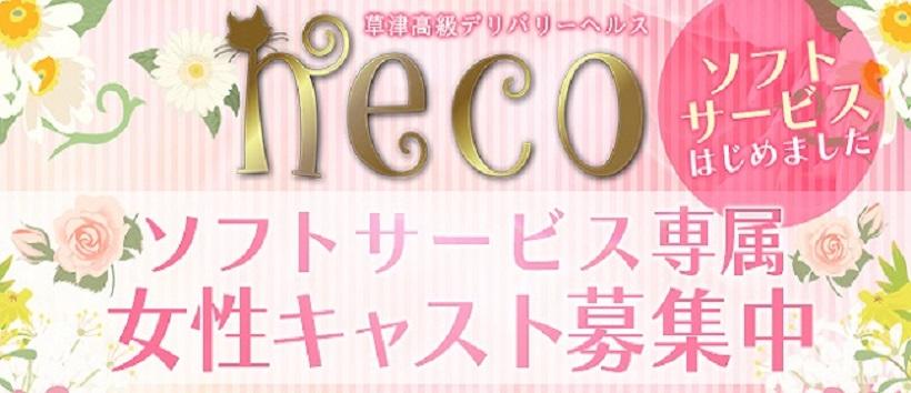 デリバリーヘルスnecoの求人