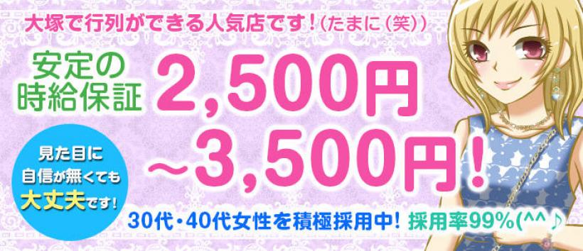 ニューパピヨンの求人