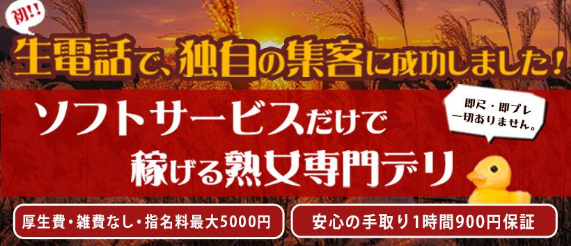 熟年カップル 五反田~生電話からの営み~の求人