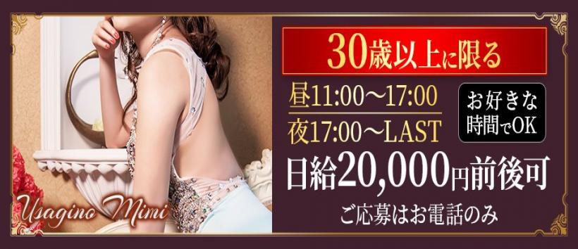 うさぎのみみの求人