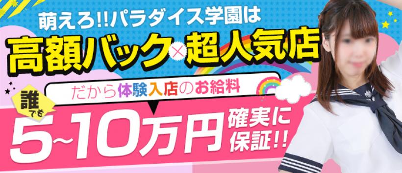 萌えろ!パラダイス学園の求人
