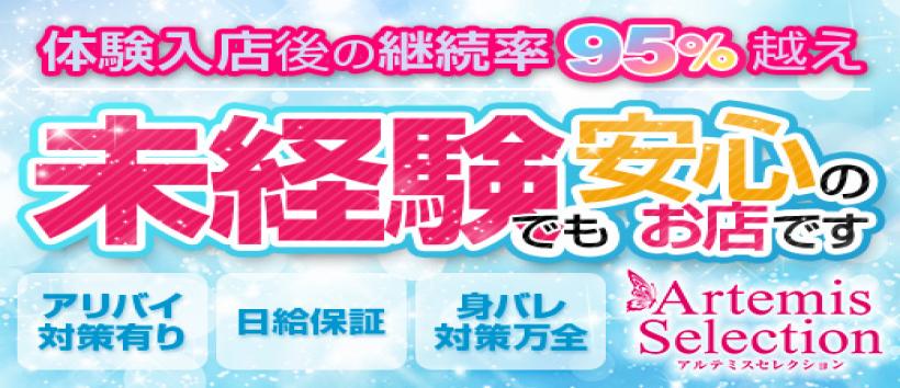 ArtemisSelectionの求人