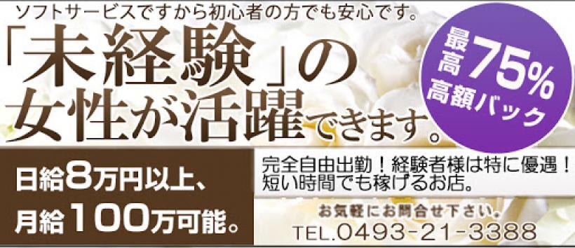 姫伝説の求人