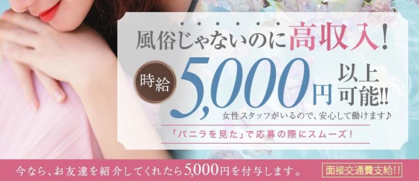 ANGELICA Dseignの求人