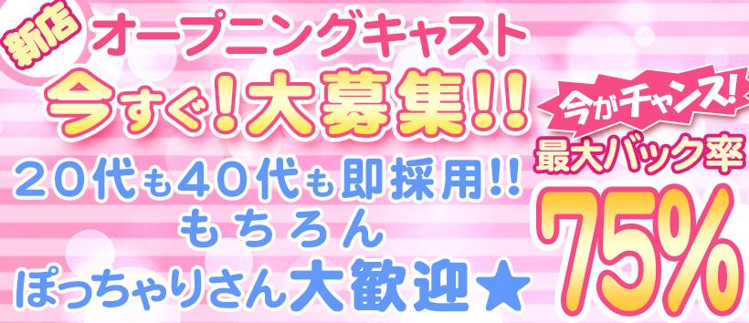 ぽちゃっとランデブーの求人