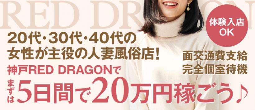 神戸レッドドラゴン~我慢できない人妻~の求人