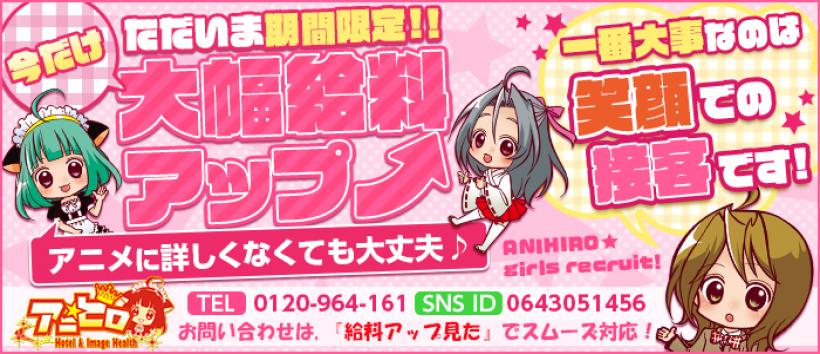 アニヒロの求人