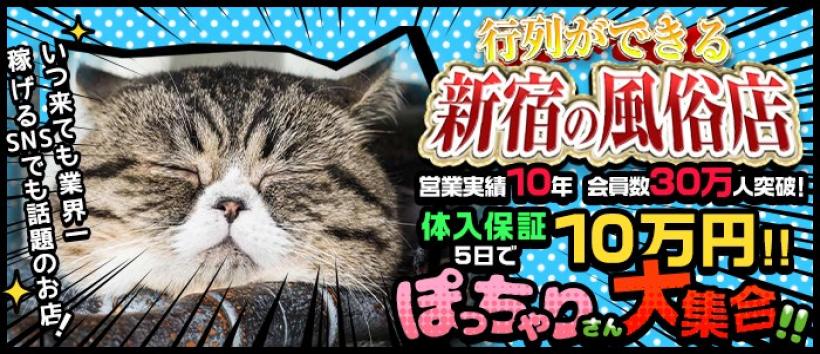 新宿本店 ぽちゃカワ女子専門店の求人