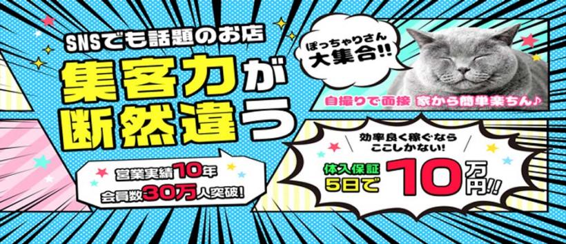 新宿本店 ぽちゃカワ女子専門店の求人