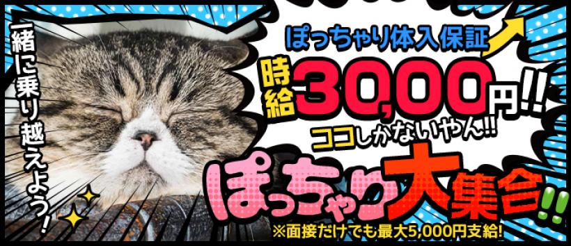新宿本店 ぽちゃカワ女子専門店の求人
