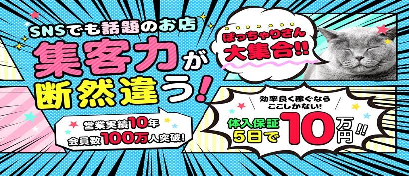 新宿本店 ぽちゃカワ女子専門店の求人