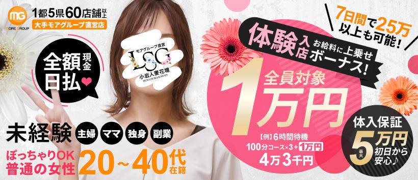 小岩人妻花壇