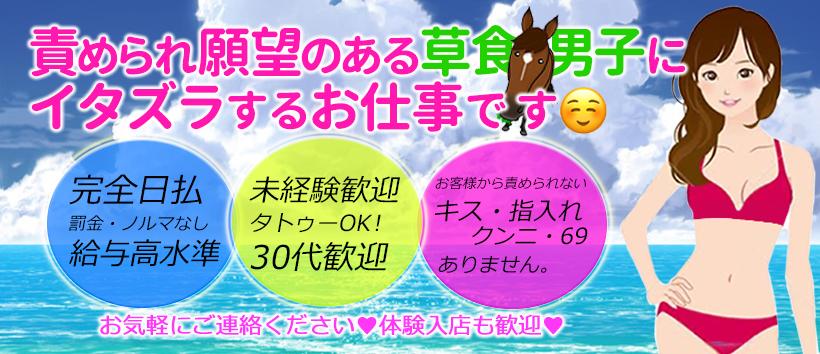 小悪魔な誘惑痴女の求人