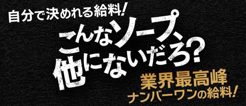 聖スムーチ女学園の求人