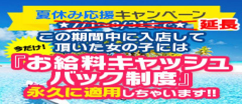 若コレの求人