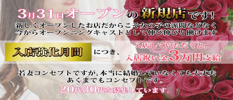 若妻コレクションの求人