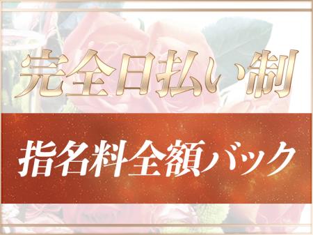 全額日払い制