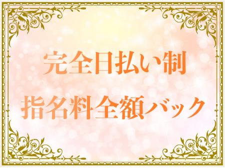 完全日払い制