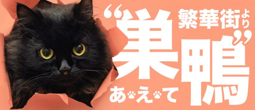 ここでキスしての求人