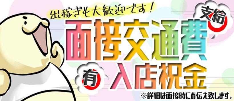 大阪ぽっちゃりマニアの求人