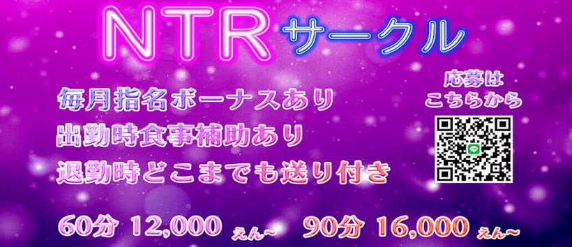 NTRサークルの求人