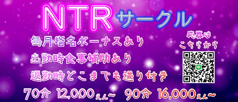 NTRサークルの求人