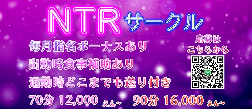 NTRサークルの求人