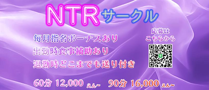 NTRサークルの求人