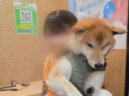 当店の看板犬との癒しタイム♡
