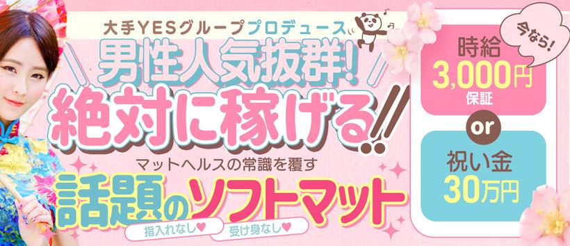 YESグループ 海上空天の求人
