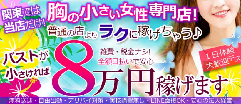 貧乳パラダイスの求人