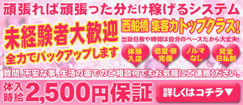 キャンディー7の求人